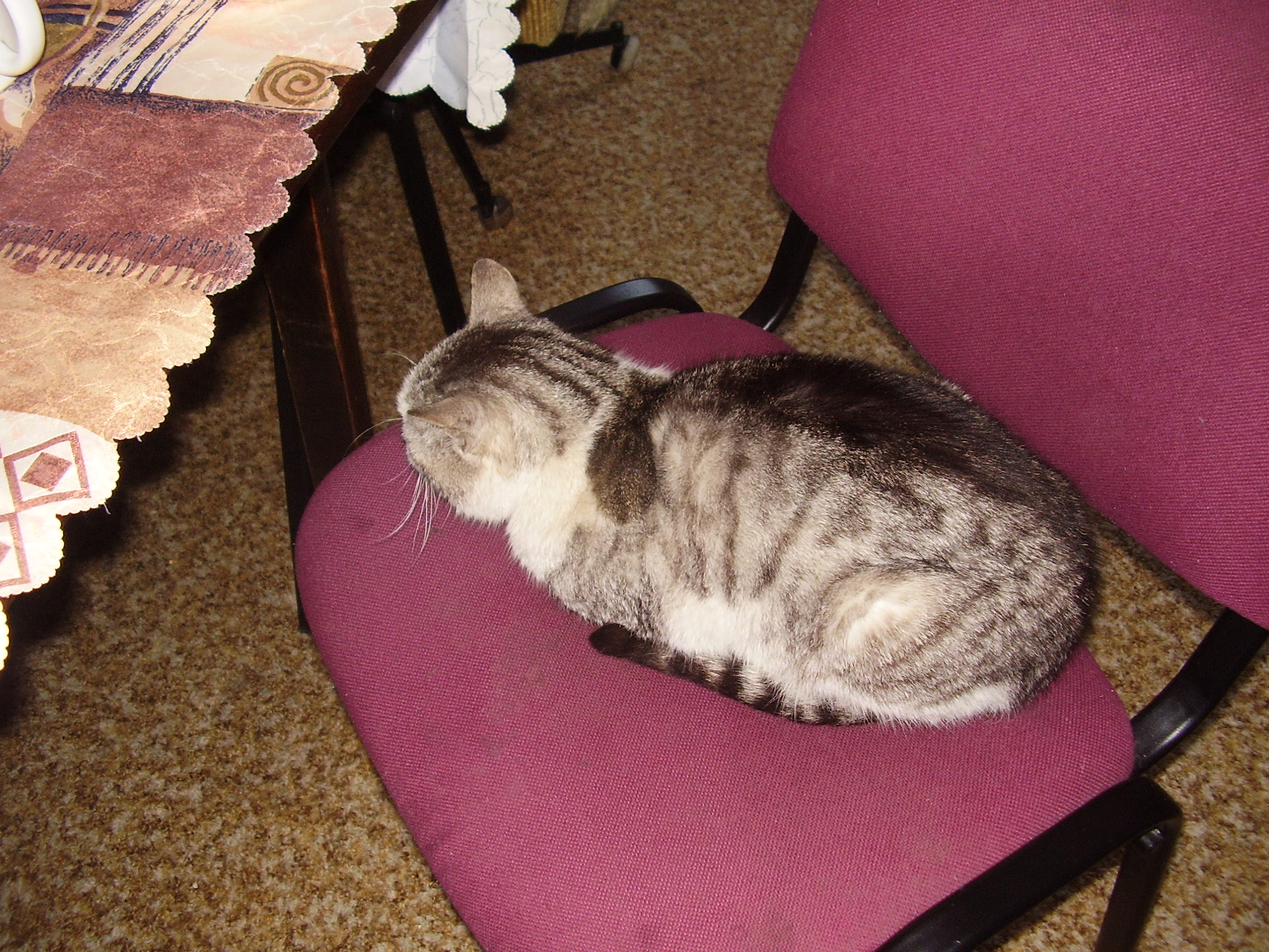 fotky 008.jpg
