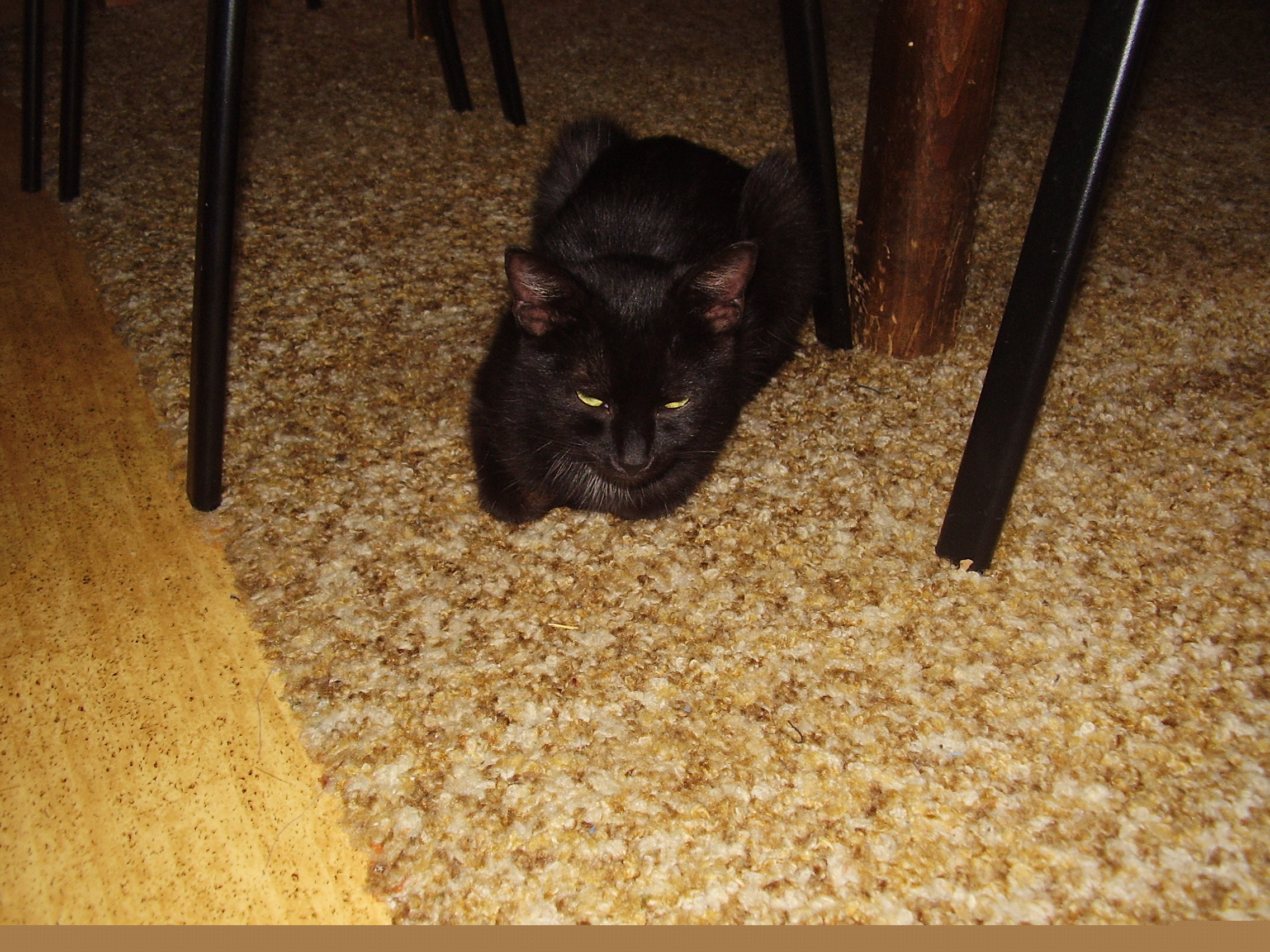 fotky 040.jpg